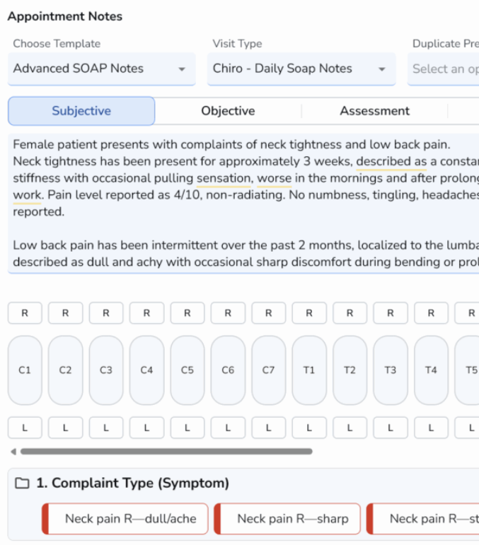Client SOAP note in the Ruana practice management system